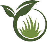 Tree Installation Pros