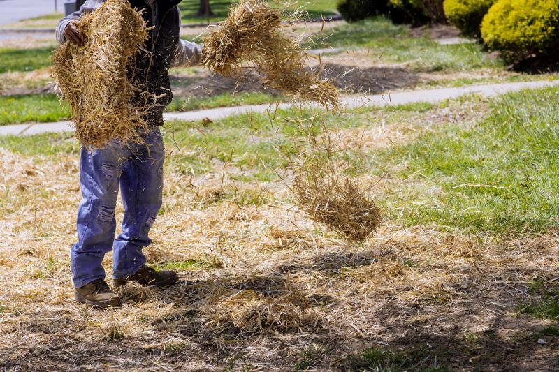Pine Bark Mulch Installation in Ventura County, CA