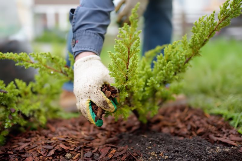 Apartment Mulching in Ventura County, CA