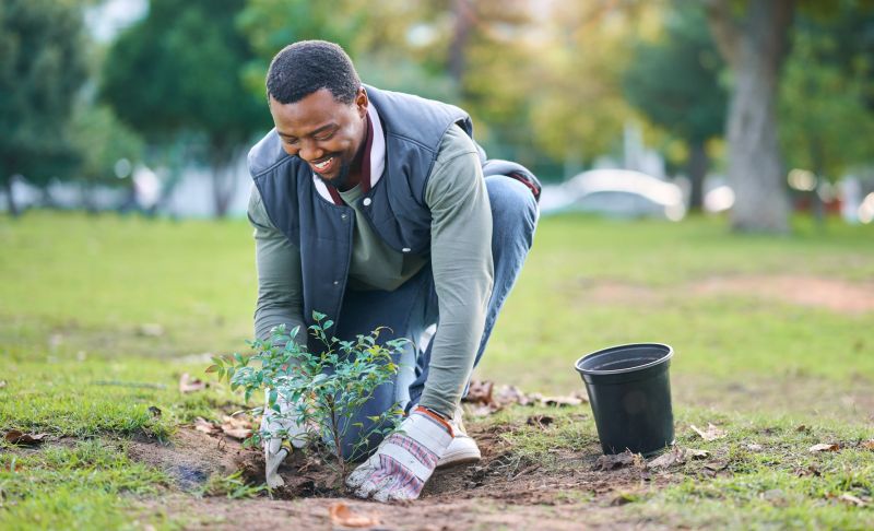 Bush Planting Service in Honolulu, HI