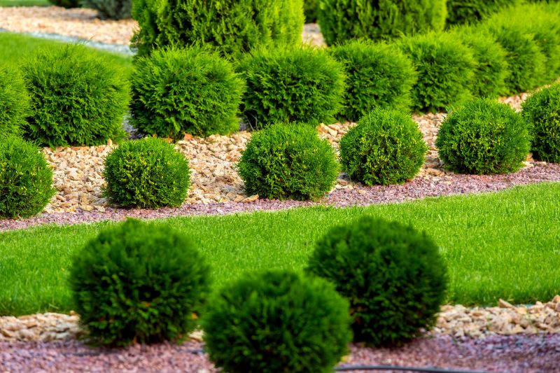Bush Replacement in Ventura County, CA