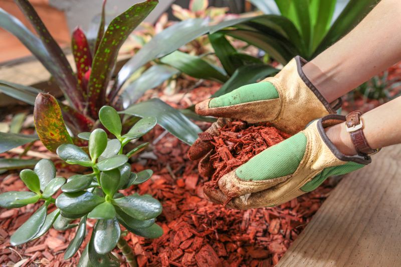 Cedar Mulch Installation in Honolulu, HI