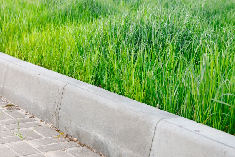 Cement Curbing Installation in Citrus County, FL