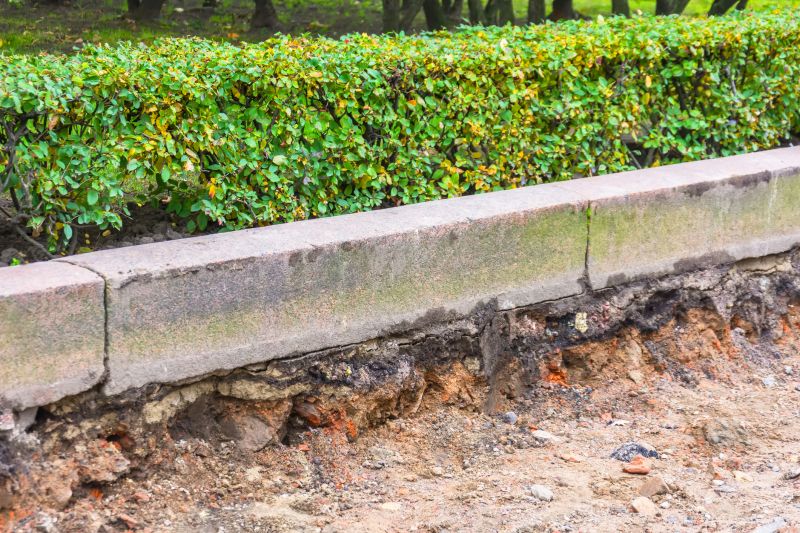 Concrete Edging Replacement in Citrus County, FL