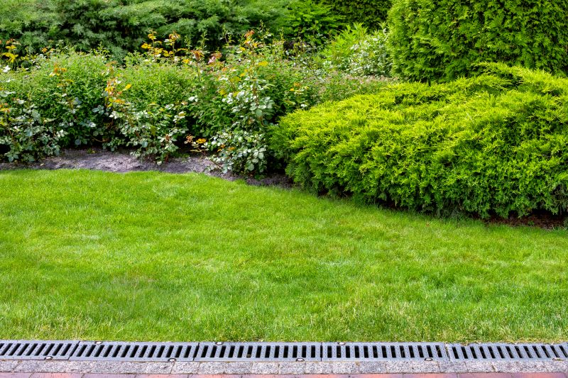 Dryscape Landscaping in Honolulu, HI