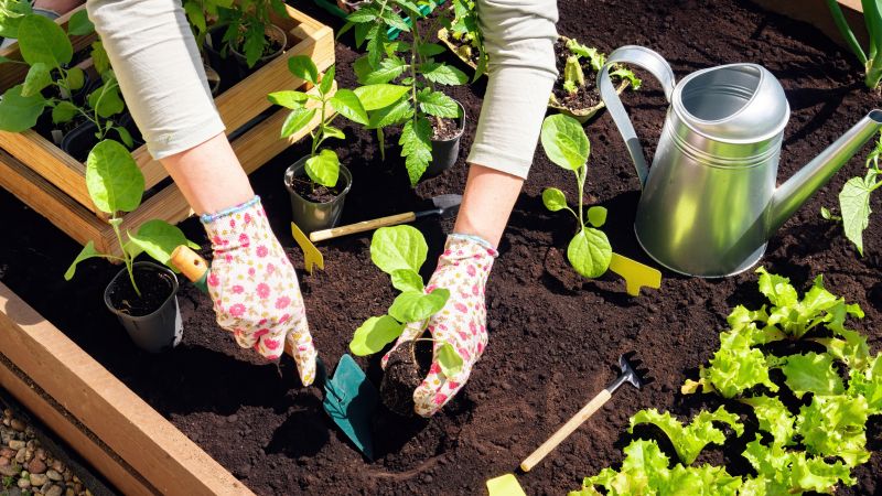 Flower Bed Maintenance in Ventura County, CA