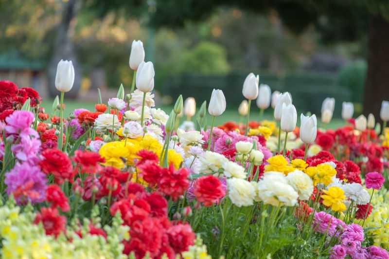 Flower Landscaping in Honolulu, HI