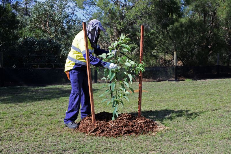 Tree Installation detail