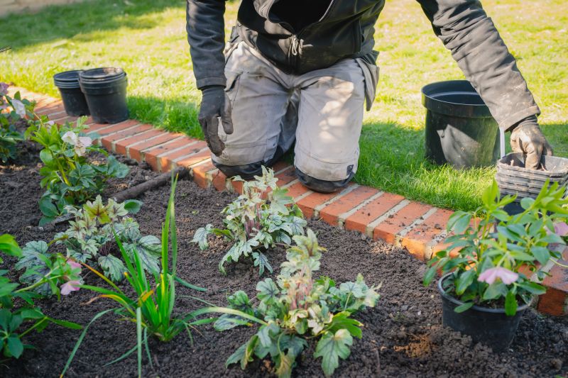 Garden Border Replacement in Citrus County, FL
