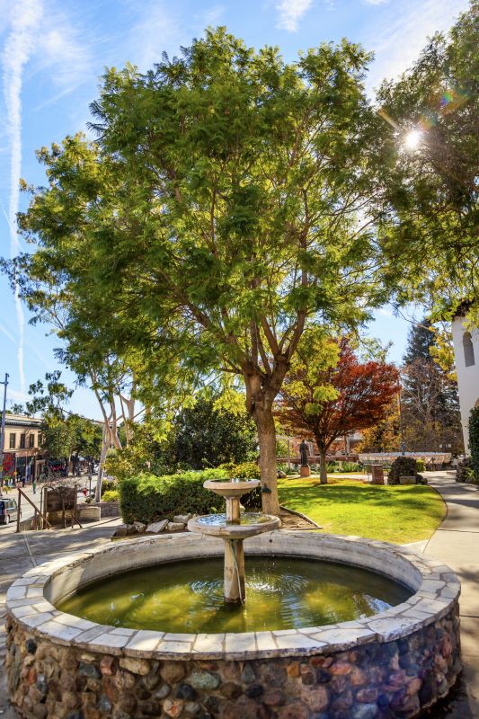Garden Fountain Installation in Honolulu, HI