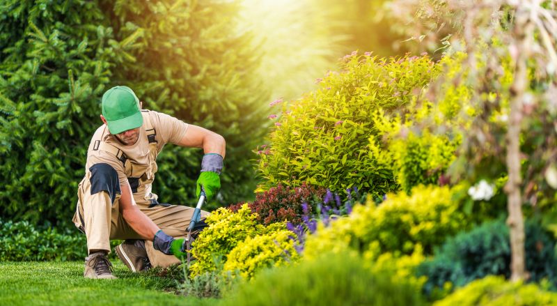 Garden Maintenance Service in Ventura County, CA