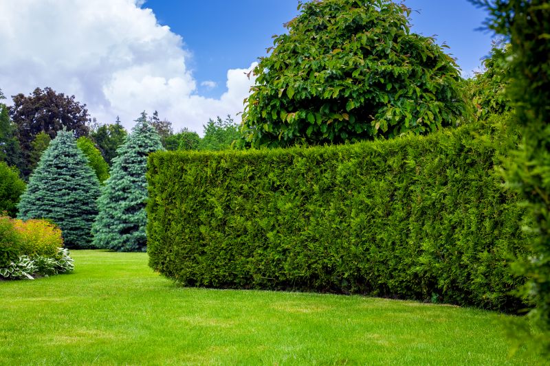 Hedge Landscaping in Honolulu, HI