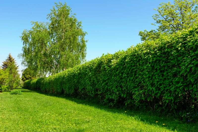Hedge Landscaping in Ventura County, CA