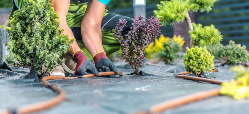 Landscaping Installation in Honolulu, HI