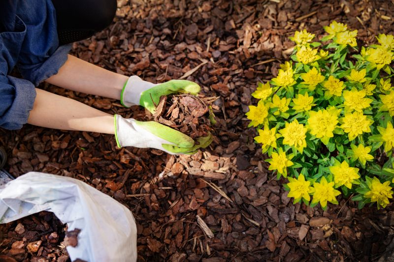 Mulch Installation in Honolulu, HI