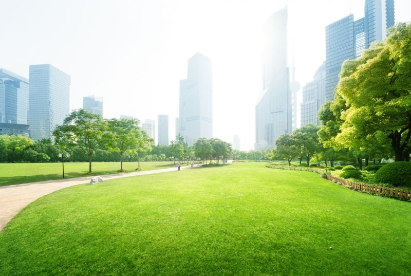 Office Landscaping Design in Honolulu, HI