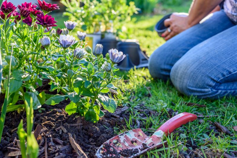 Perennial Landscaping in Honolulu, HI