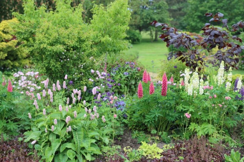 Perennials Planting in Ventura County, CA