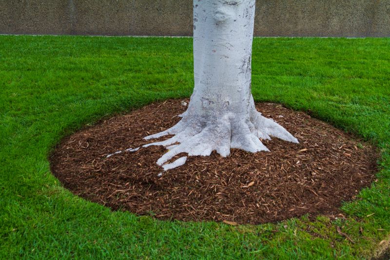 Pine Bark Mulch Installation in Ventura County, CA