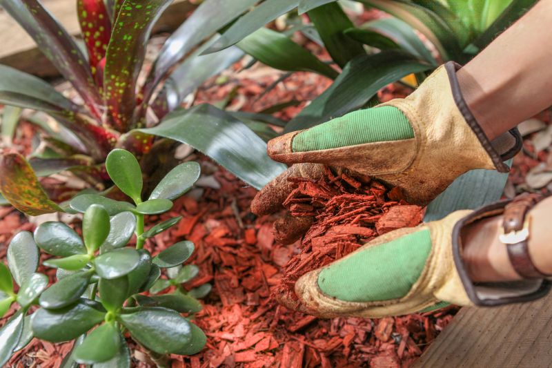 Red Mulch Installation in Honolulu, HI