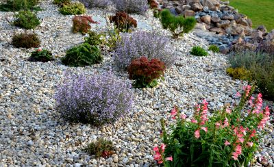 Rock Garden Installation in Honolulu, HI