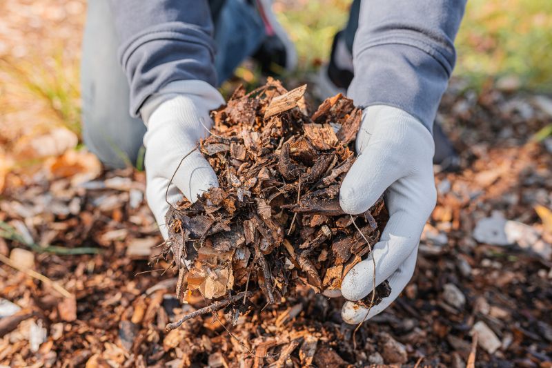 Shredded Mulch Installation in Ventura County, CA