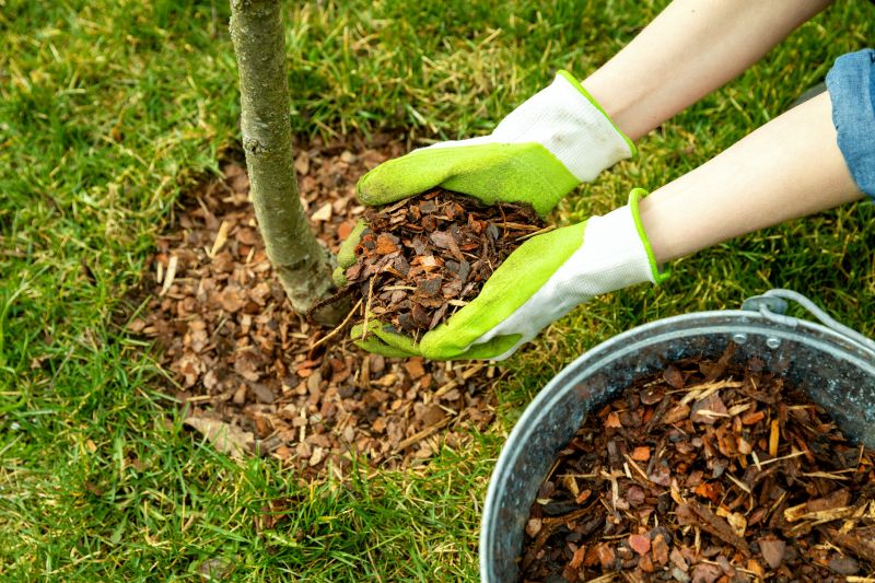 Shredded Mulch Service in Ventura County, CA