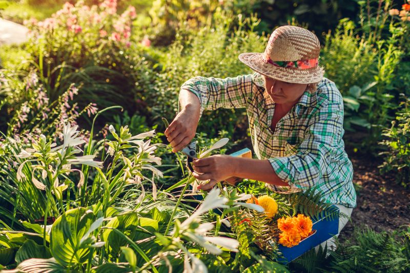 Small Garden Landscaping in Ventura County, CA