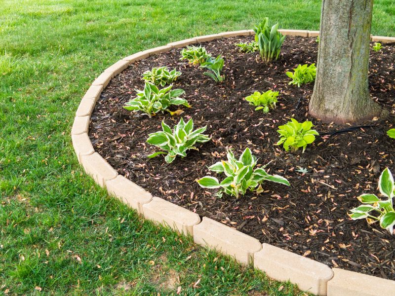 Tree Curbing Installation in Honolulu, HI