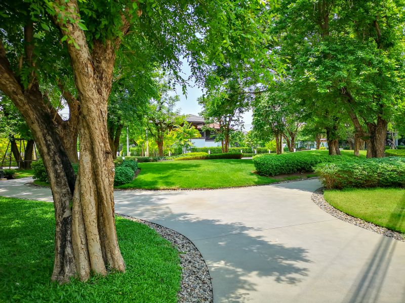 Tree Edging Installation in Citrus County, FL