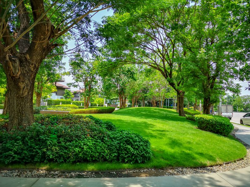 Tree Edging Installation in Citrus County, FL