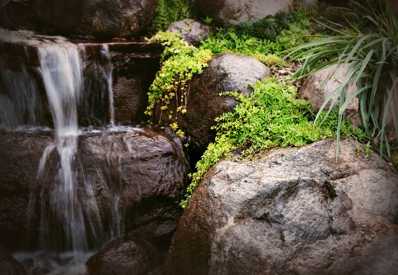 Water Feature Replacement in Honolulu, HI
