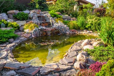Water Garden Installation in Honolulu, HI