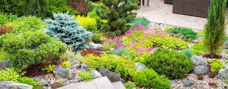 Xeriscape Landscaping in Honolulu, HI