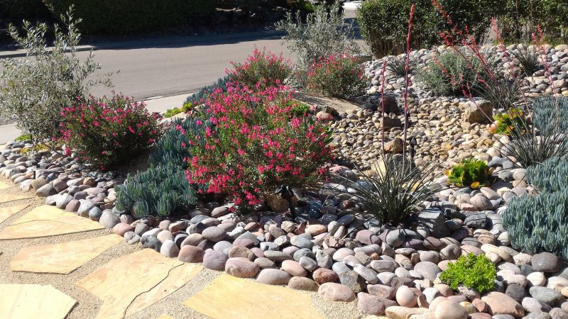 Xeriscape Landscaping in Honolulu, HI