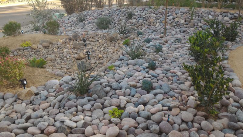 Xeriscape Landscaping in Honolulu, HI